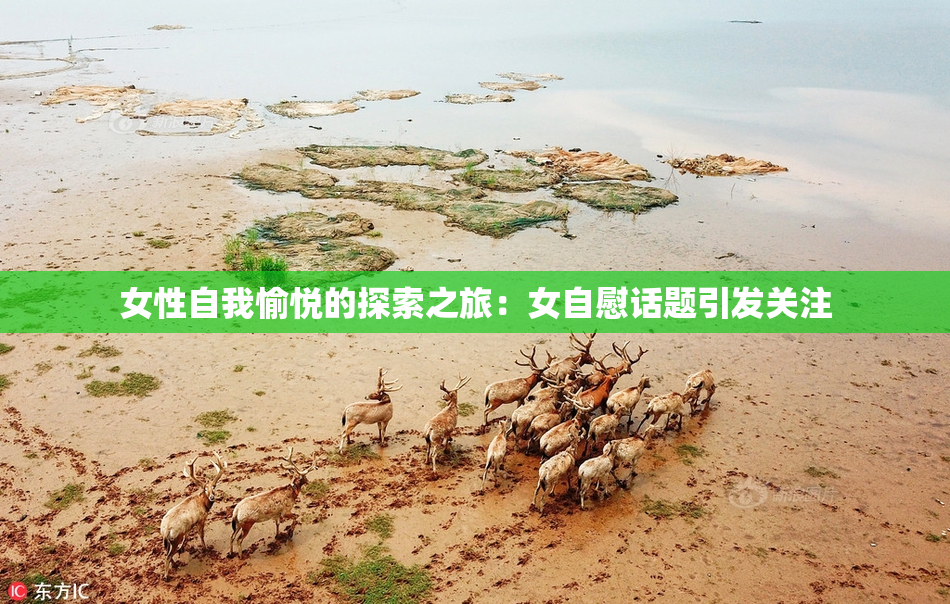 女性自我愉悦的探索之旅：女自慰话题引发关注