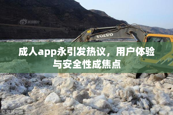 成人app永引发热议，用户体验与安全性成焦点