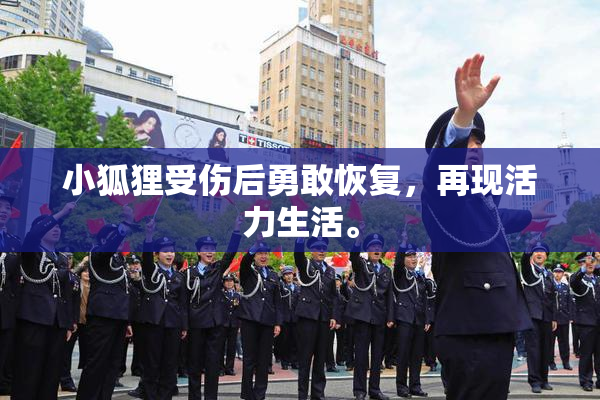 小狐狸受伤后勇敢恢复，再现活力生活。