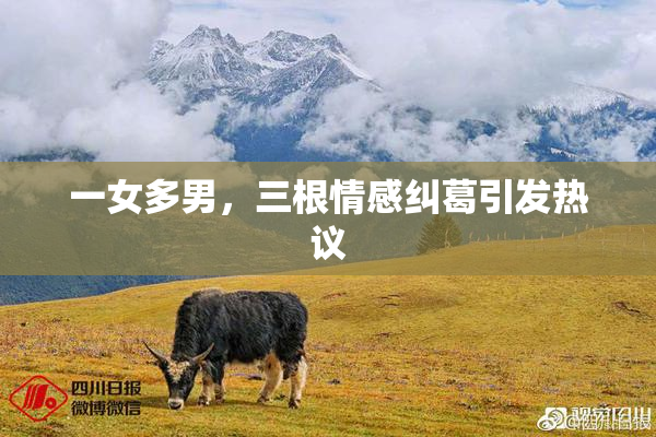 一女多男，三根情感纠葛引发热议