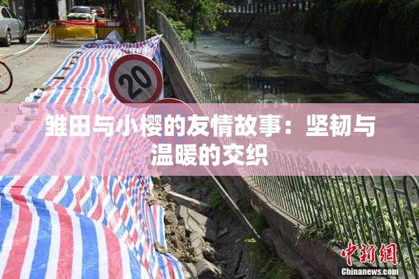 雏田与小樱的友情故事：坚韧与温暖的交织