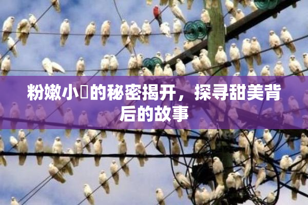 粉嫩小泬的秘密揭开，探寻甜美背后的故事
