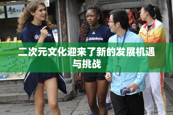 二次元文化迎来了新的发展机遇与挑战