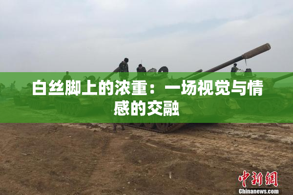 白丝脚上的浓重：一场视觉与情感的交融
