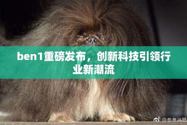 ben1重磅发布，创新科技引领行业新潮流