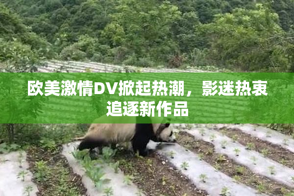 欧美激情DV掀起热潮，影迷热衷追逐新作品