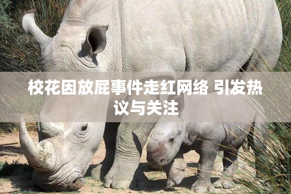 校花因放屁事件走红网络 引发热议与关注