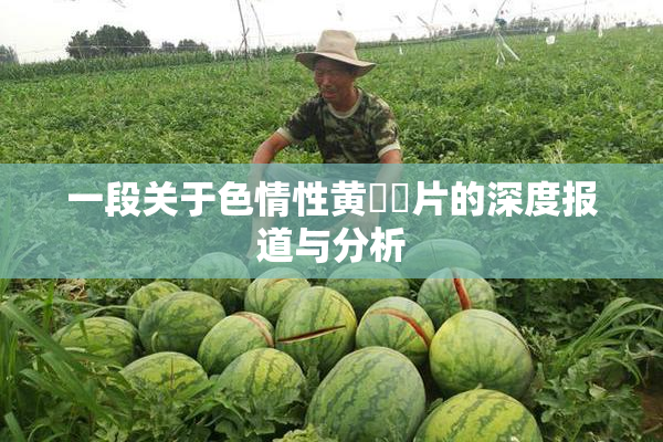 一段关于色情性黄❌‌片的深度报道与分析