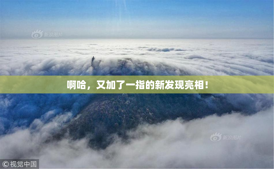 啊哈，又加了一指的新发现亮相！