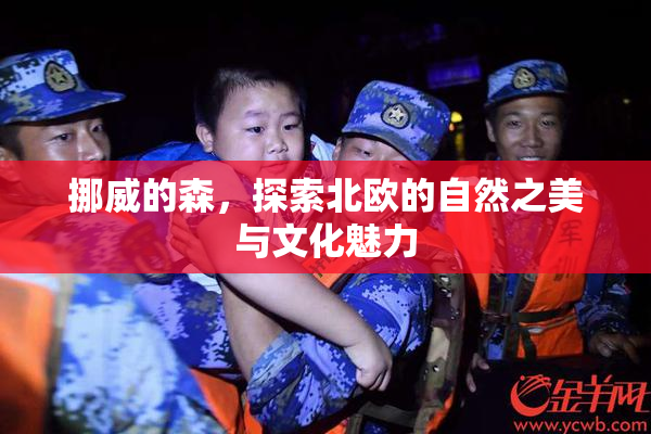 挪威的森，探索北欧的自然之美与文化魅力