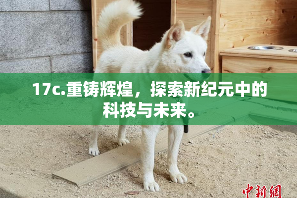 17c.重铸辉煌，探索新纪元中的科技与未来。
