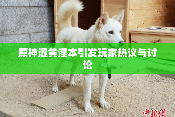 原神涩黄淫本引发玩家热议与讨论