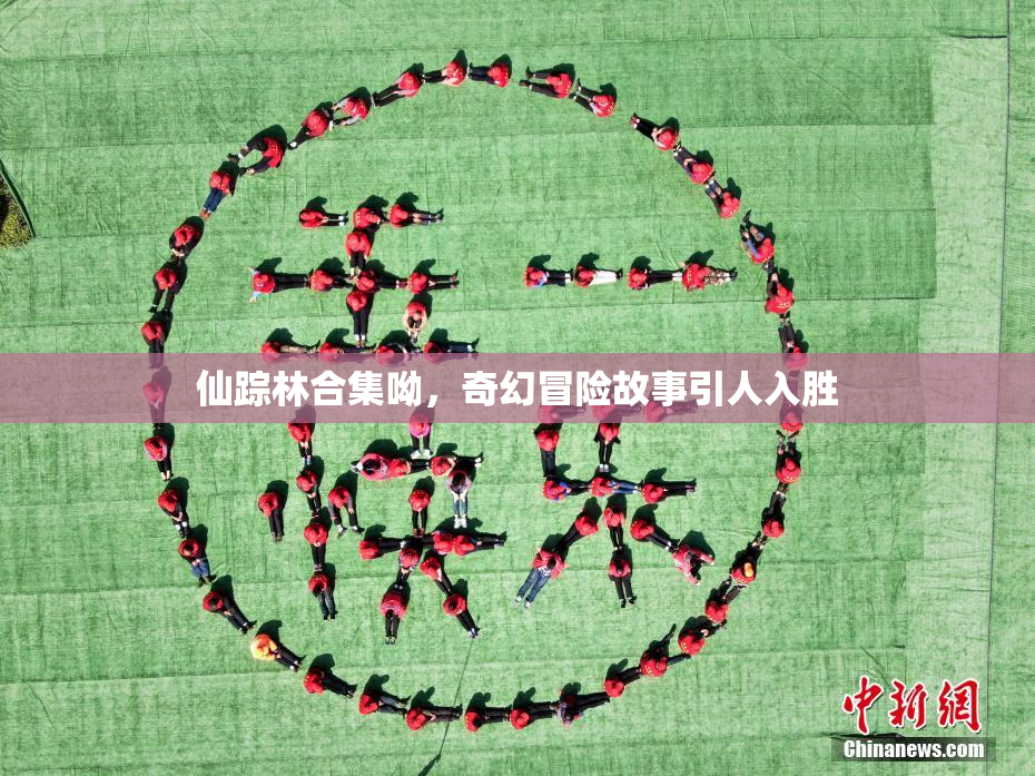 仙踪林合集呦，奇幻冒险故事引人入胜