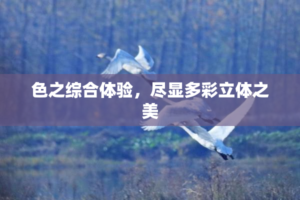 色之综合体验，尽显多彩立体之美
