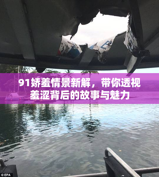 91娇羞情景新解，带你透视羞涩背后的故事与魅力