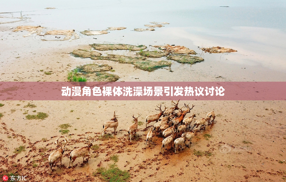 动漫角色裸体洗澡场景引发热议讨论