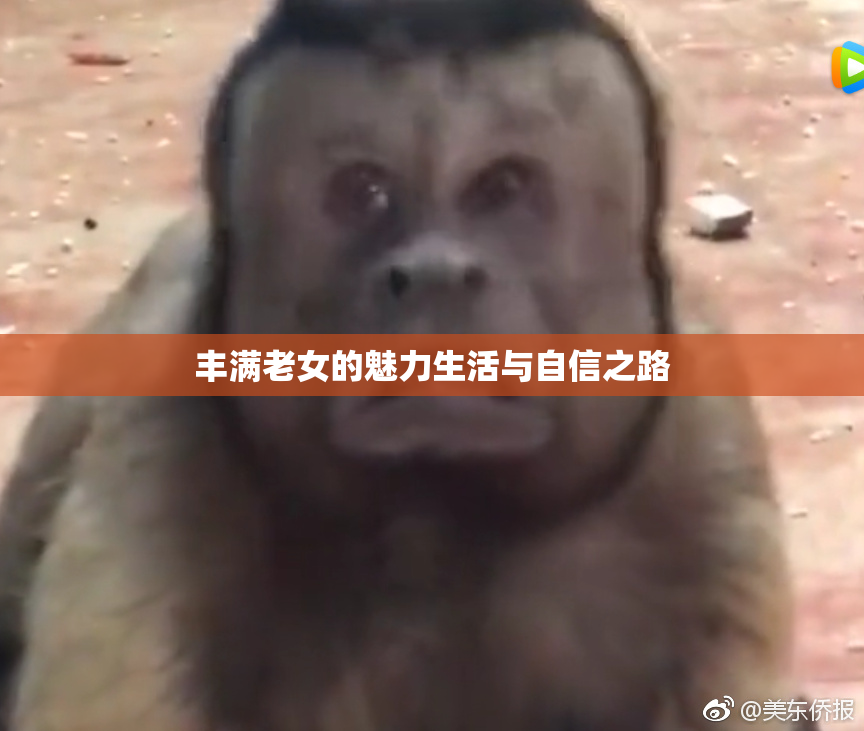 丰满老女的魅力生活与自信之路