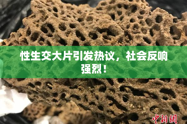 性生交大片引发热议，社会反响强烈！