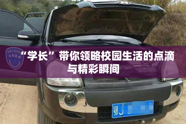 “学长”带你领略校园生活的点滴与精彩瞬间