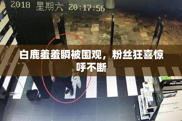 白鹿羞羞瞬被围观，粉丝狂喜惊呼不断