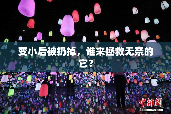 变小后被扔掉，谁来拯救无奈的它？