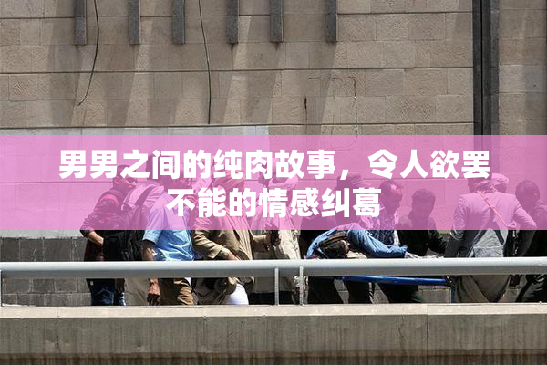 男男之间的纯肉故事，令人欲罢不能的情感纠葛