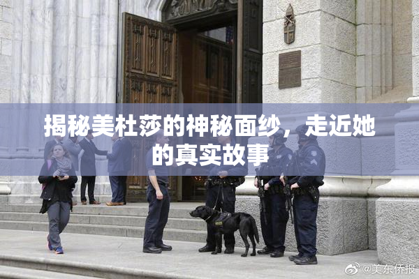 揭秘美杜莎的神秘面纱，走近她的真实故事