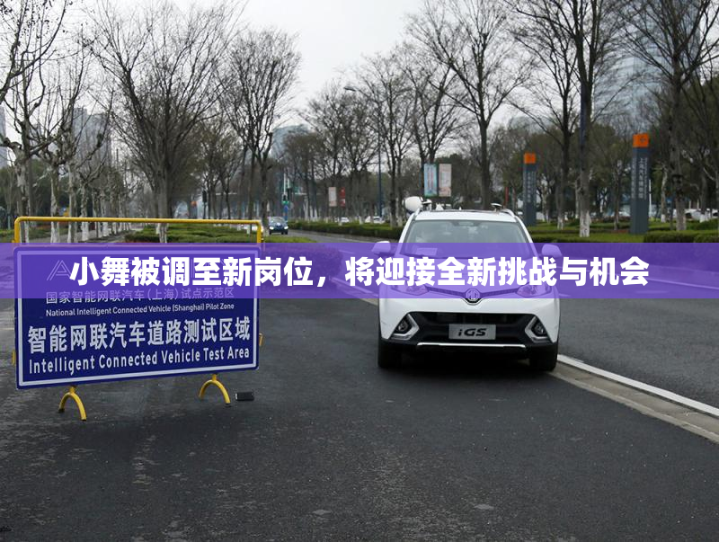 小舞被调至新岗位，将迎接全新挑战与机会