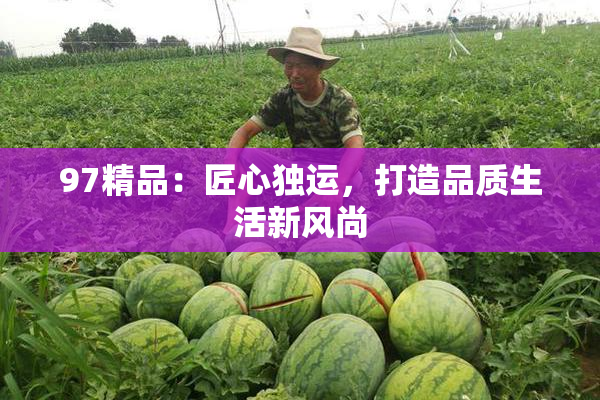 97精品：匠心独运，打造品质生活新风尚