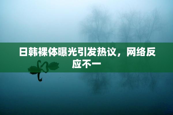 日韩裸体曝光引发热议，网络反应不一