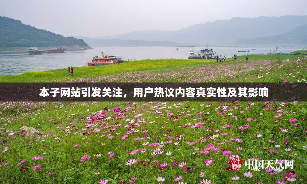 本子网站引发关注，用户热议内容真实性及其影响