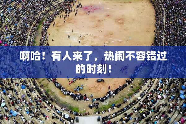 啊哈！有人来了，热闹不容错过的时刻！