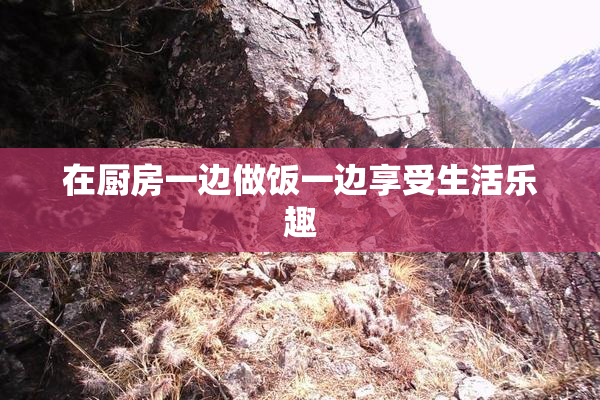 在厨房一边做饭一边享受生活乐趣