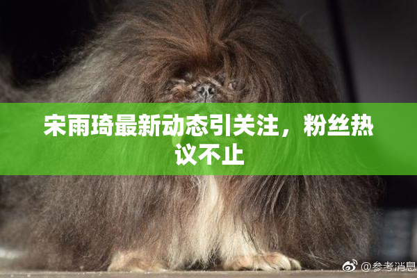 宋雨琦最新动态引关注，粉丝热议不止