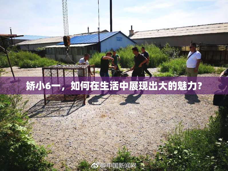 娇小6一，如何在生活中展现出大的魅力？