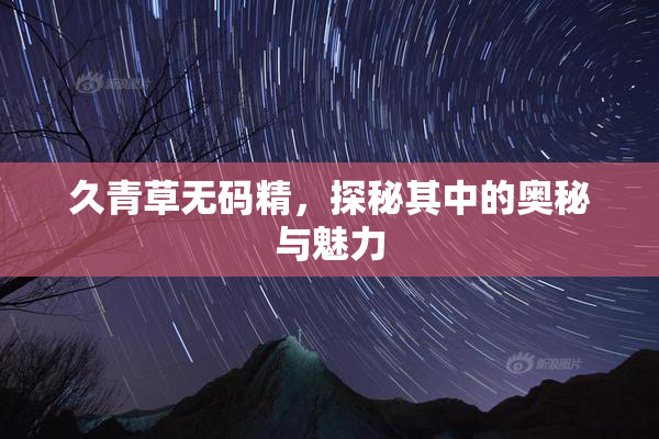 久青草无码精，探秘其中的奥秘与魅力