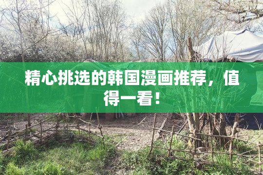 精心挑选的韩国漫画推荐，值得一看！