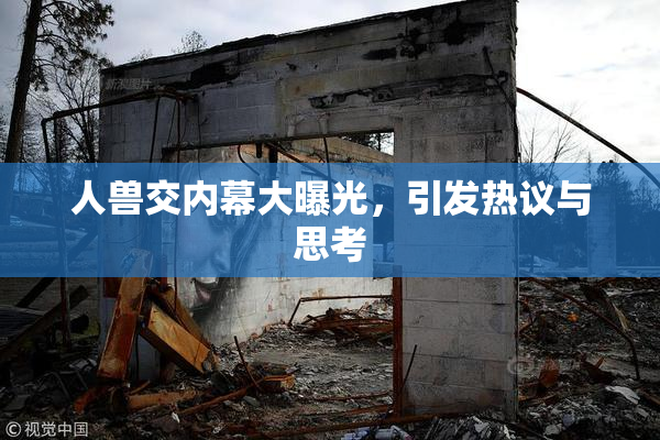人兽交内幕大曝光，引发热议与思考