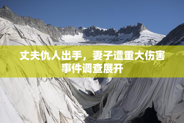 丈夫仇人出手，妻子遭重大伤害事件调查展开