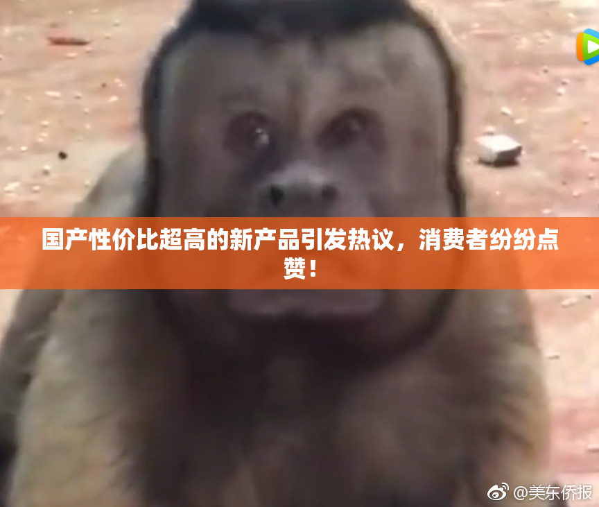 国产性价比超高的新产品引发热议，消费者纷纷点赞！