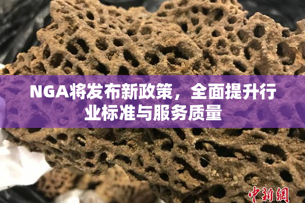 NGA将发布新政策，全面提升行业标准与服务质量