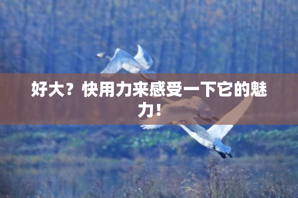 好大？快用力来感受一下它的魅力！