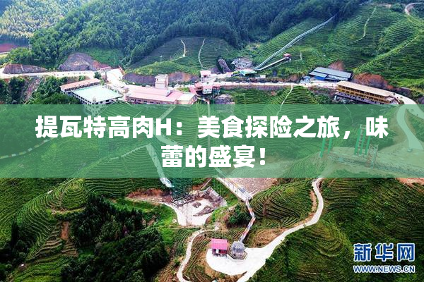 提瓦特高肉H：美食探险之旅，味蕾的盛宴！