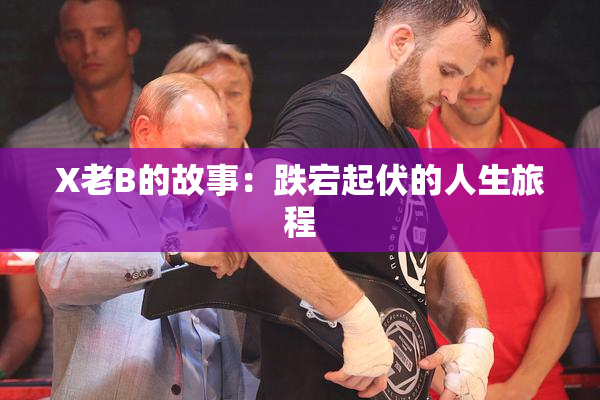 X老B的故事：跌宕起伏的人生旅程