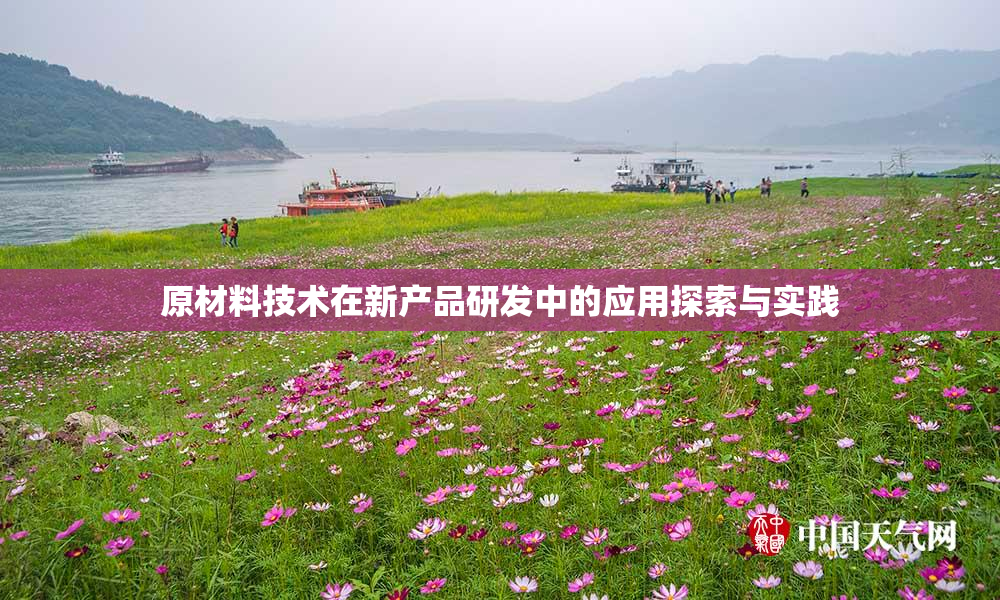 原材料技术在新产品研发中的应用探索与实践