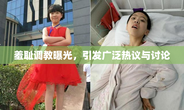 羞耻调教曝光，引发广泛热议与讨论
