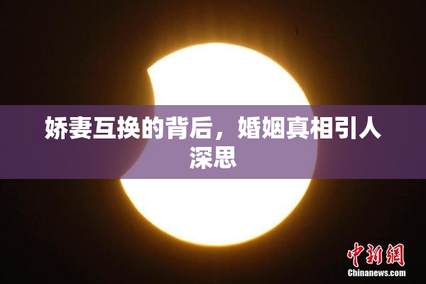 娇妻互换的背后，婚姻真相引人深思