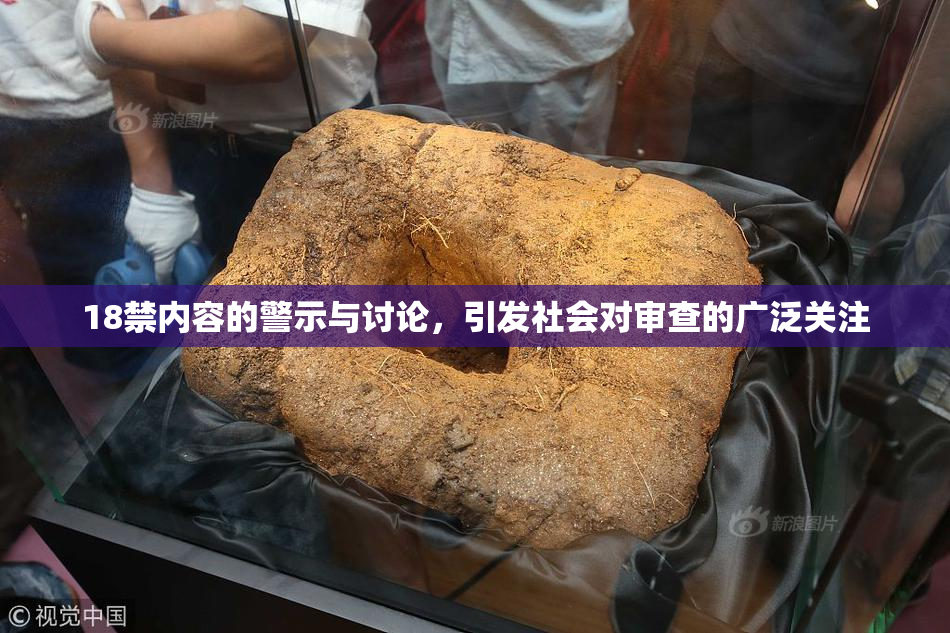 18禁内容的警示与讨论，引发社会对审查的广泛关注