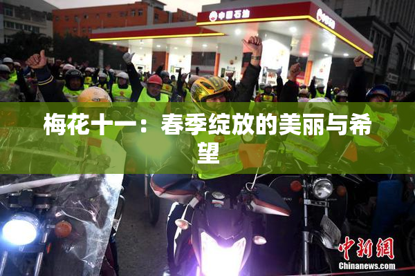 梅花十一：春季绽放的美丽与希望