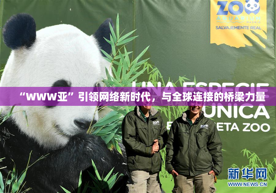 “WWW亚”引领网络新时代，与全球连接的桥梁力量